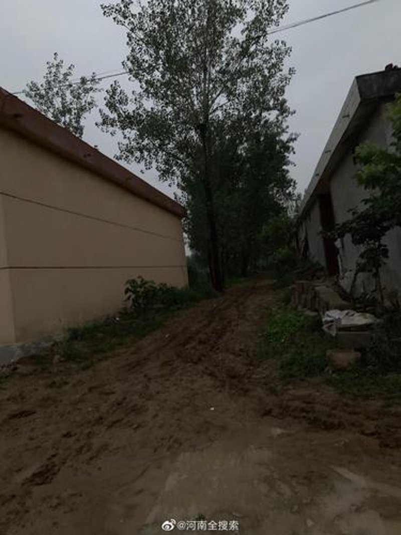 叶县租房市场动态解读
